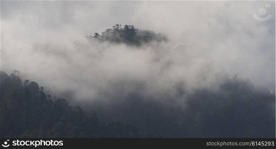Fog over mountains, Dochula Pass, Thimphu, Bhutan