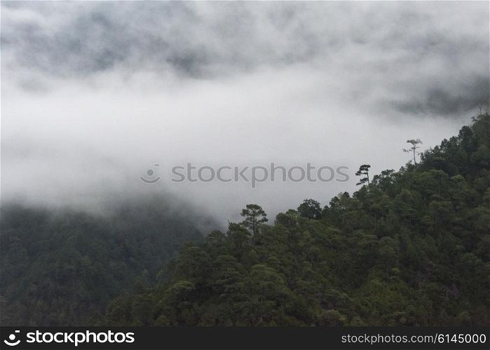Fog over mountains, Punakha, Punakha Valley, Punakha District, Bhutan