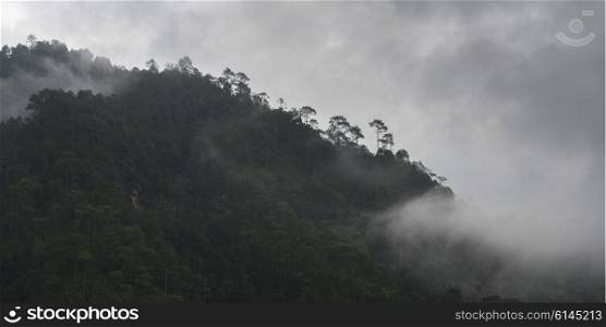 Fog over trees on mountains, Punakha, Punakha Valley, Punakha District, Bhutan