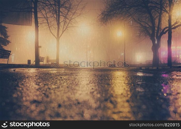 Foggy and rainy night in a city park