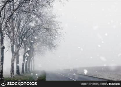 Foggy and snowy weather. Winter rural landscape with country road and trees alongside in France. Monochromatic neutral tones with natural light.