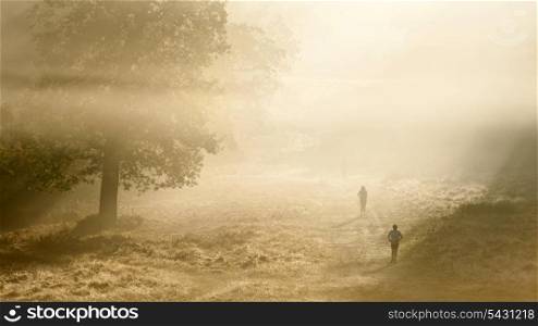 Foggy Autumn morning in Richmond Park, London with joggers running through landscape