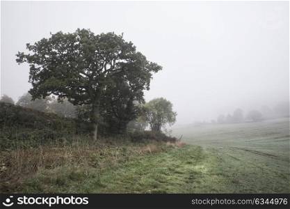 Foggy Autumn morning landscape in British countryside