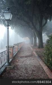 Foggy city park alley