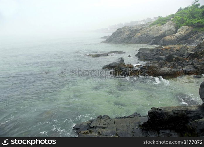 Foggy coast of Atlantic ocean in Maine, USA