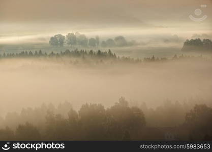 foggy dawn over the national park Bohemian Switzerland, Czech Republic