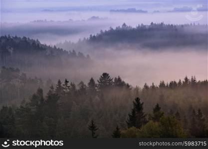 foggy dawn over the national park Bohemian Switzerland, Czech Republic