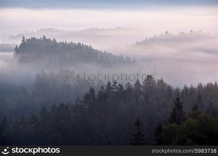 foggy dawn over the national park Bohemian Switzerland, Czech Republic