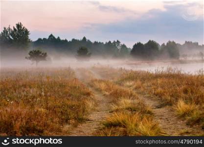 Foggy dirt road at summer morning riverbank. Misty dawn at summer season. Misty morning on a meadow.