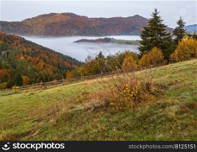 Foggy early morning autumn mountains scene. Peaceful picturesque traveling, seasonal, nature and countryside beauty concept scene. Carpathian Mountains, Ukraine.