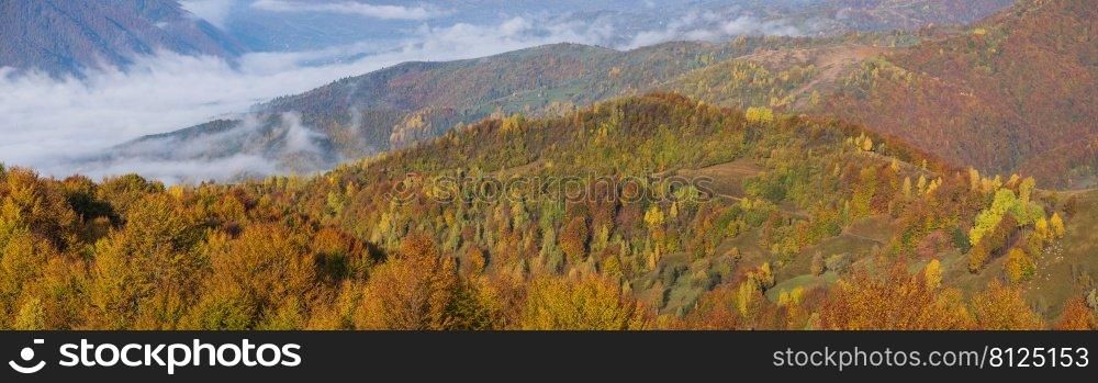 Foggy early morning autumn mountains scene. Peaceful picturesque traveling, seasonal, nature and countryside beauty concept scene. Carpathian Mountains, Ukraine.