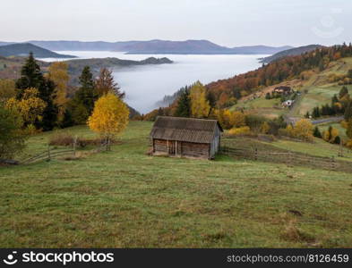 Foggy early morning autumn mountains scene. Peaceful picturesque traveling, seasonal, nature and countryside beauty concept scene. Carpathian Mountains, Ukraine.