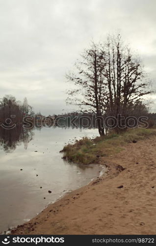 foggy gloomy morning autumn landscape