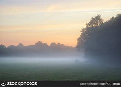 Foggy landscape during sunrise in English countryside landscape