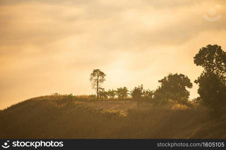 foggy landscape forest in the morning beautiful sunrise mist cover mountain background at countryside winter