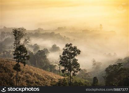foggy landscape forest in the morning beautiful sunrise mist cover mountain background at countryside winter