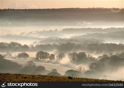 Foggy landscape scene of the countryside