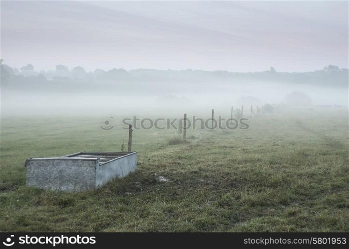Foggy landscsape in English countryside with livestock feeding trough