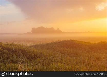 Foggy meadow at sunset with forest at background