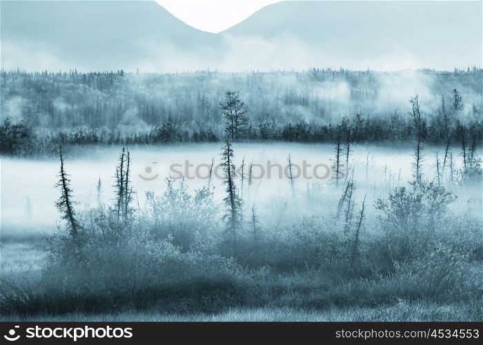 Foggy meadow in the sunny morning with light spots.