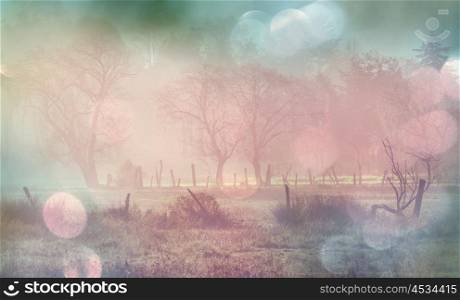Foggy meadow in the synny morning with light spots.
