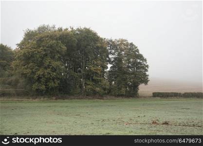 Foggy misty Autumn morning landscape in British countryside. Foggy Autumn morning landscape in British countryside
