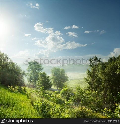 Foggy morning in a green forest under the blue sky