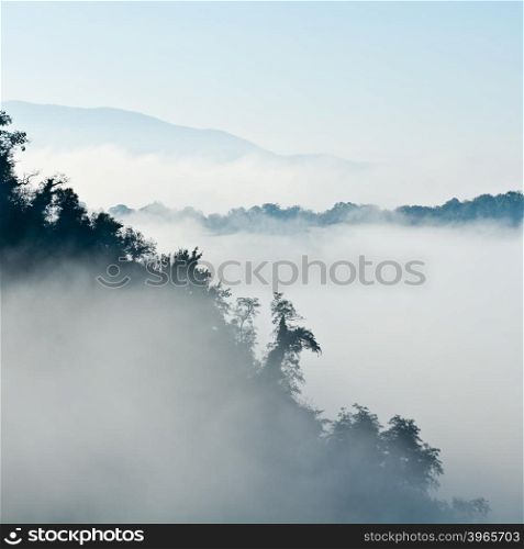 Foggy Morning in Italian Alps