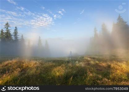 Foggy morning mountain landscape