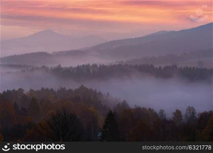 foggy morning over the Bohemian Switzerland. foggy morning over the national park Bohemian Switzerland, Czech Republic