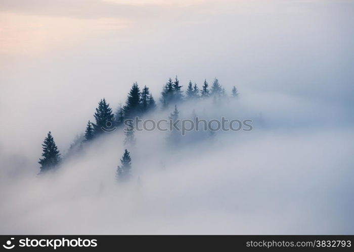Foggy mountain landscape. Carpathian mountains, Ukraine