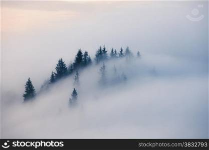 Foggy mountain landscape. Carpathian mountains, Ukraine