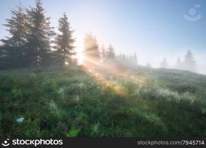 Foggy mountain morning