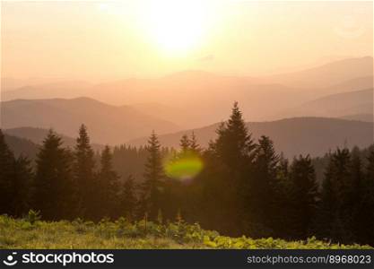 Foggy mountains and fir silhouettes with sun glares landscape photo. Beautiful nature scenery photography. Ambient light. High quality picture for wallpaper, travel blog, magazine, article. Foggy mountains and fir silhouettes with sun glares landscape photo