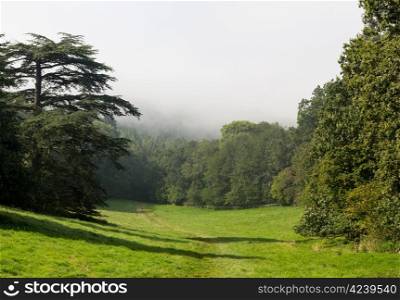 Foggy or misty view across field and meadow towards forest in Cotswolds