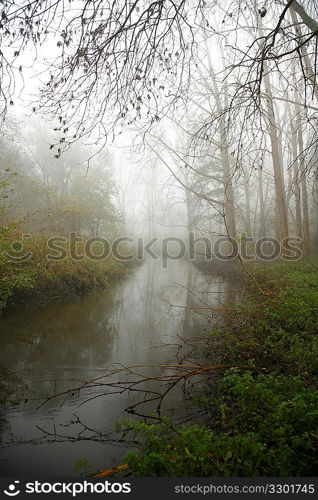Foggy river