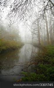 Foggy river