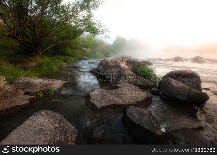 Foggy river morning