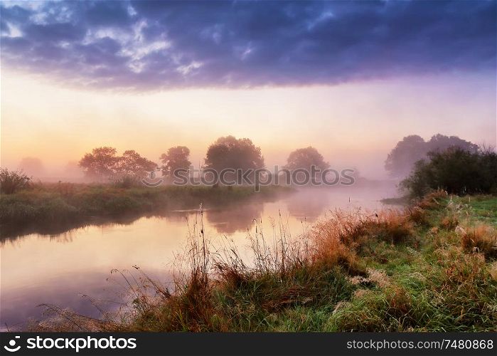 foggy river with fresh green grass at the sunrise. Dramatic colorful scenery. Dawn on a riverbank. Misty morning on a river.