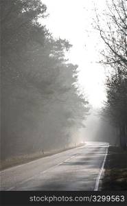 Foggy road vertical