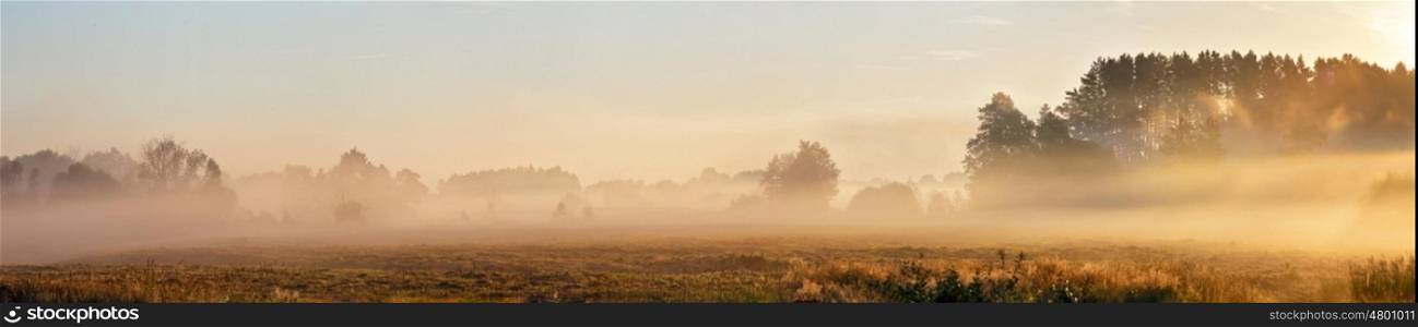 Foggy summer meadow in the morning. Misty dawn panorama. Misty sunrise over the forest