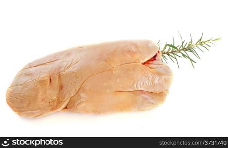 foie gras in front of white background