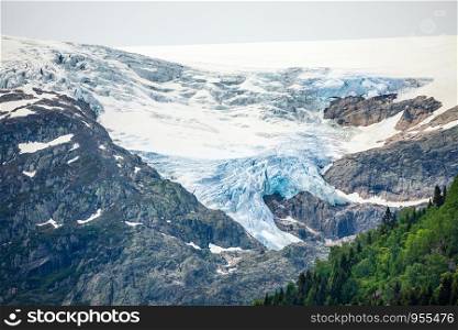Folgefonna glacier cap in the mountains with forest in the foreground, Odda, Hardanger region, Hordaland county, Norway