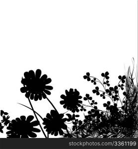 Foliage background, flowers silhouette and grass