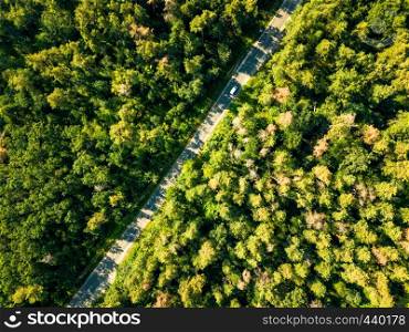 Foliage green forest with asphalt road on sunny day, natural beautiful background. Ecological Conservation Concept. Aerial view from the drone. The road with a passing car through the foliage of the forest on a sunny day. Aerial view of the drone as a natural layout