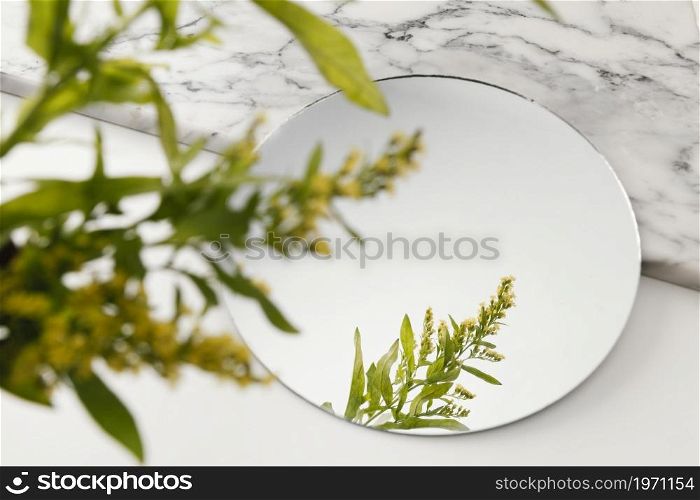 foliage mirroring mirror. High resolution photo. foliage mirroring mirror. High quality photo