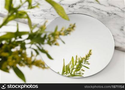 foliage mirroring mirror. High resolution photo. foliage mirroring mirror. High quality photo