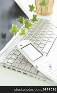 Foliage plant, laptop computer and cellphone