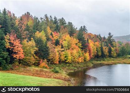 Foliage reflections in New England. Lake and trees.