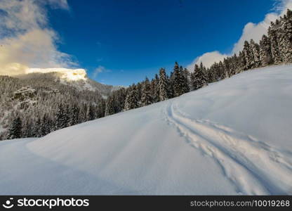 Following an uphill trail in the snow with ski and sealskins